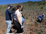 Intercambistas aprendem sobre cultivo e cuidado com a terra